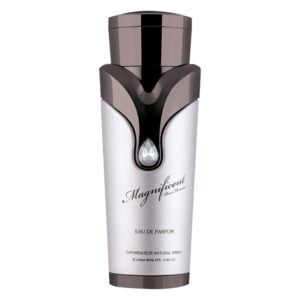 Perfume Armaf Magnificent Pour Homme Eau de Parfum