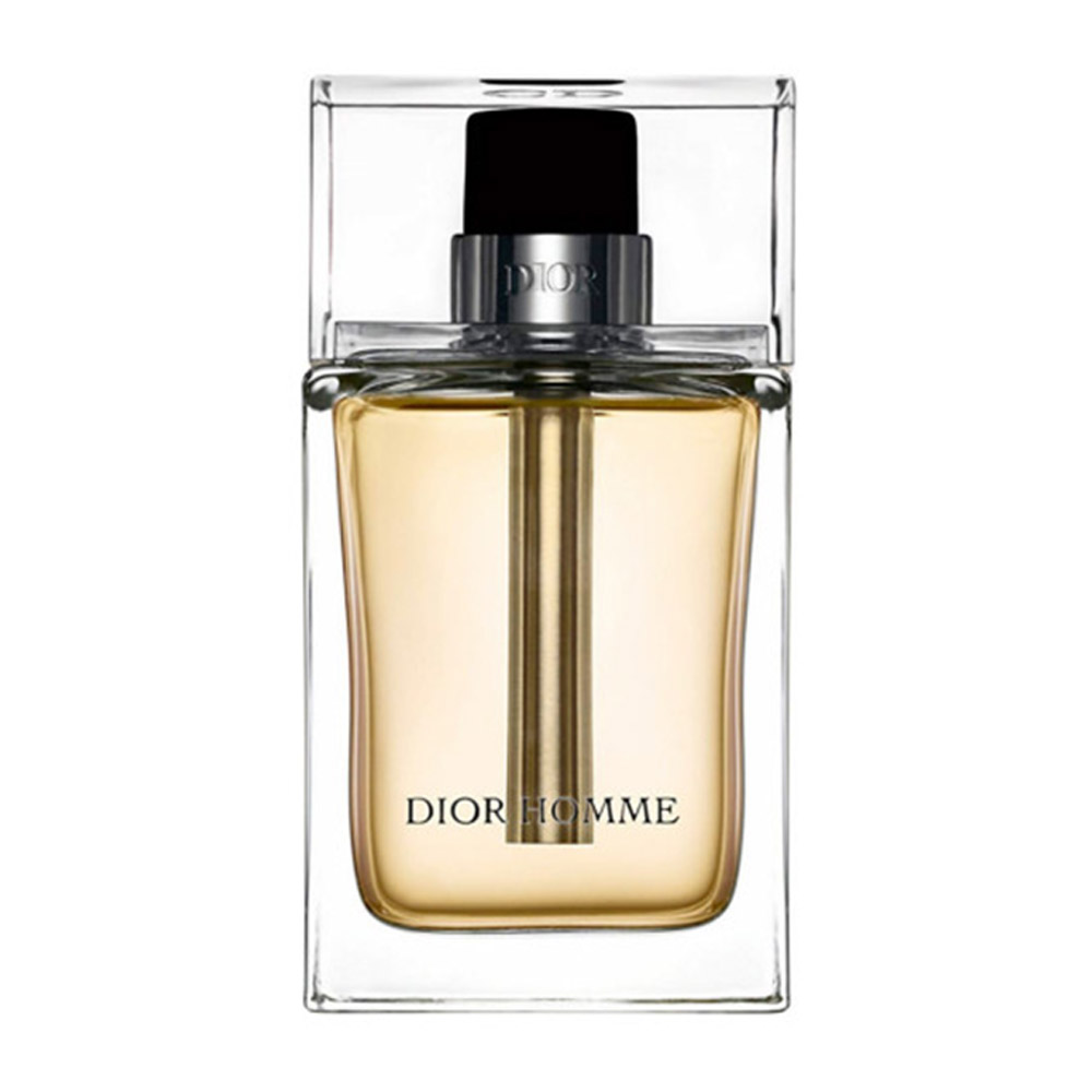 DIOR オム オードトワレ (2005) 100ml Perfume Dior Homme 2005 Eau de Toilette - Mundo dos Decants