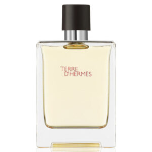 Perfume Hermès Terre d'Hermès Masculino Eau de Toilette