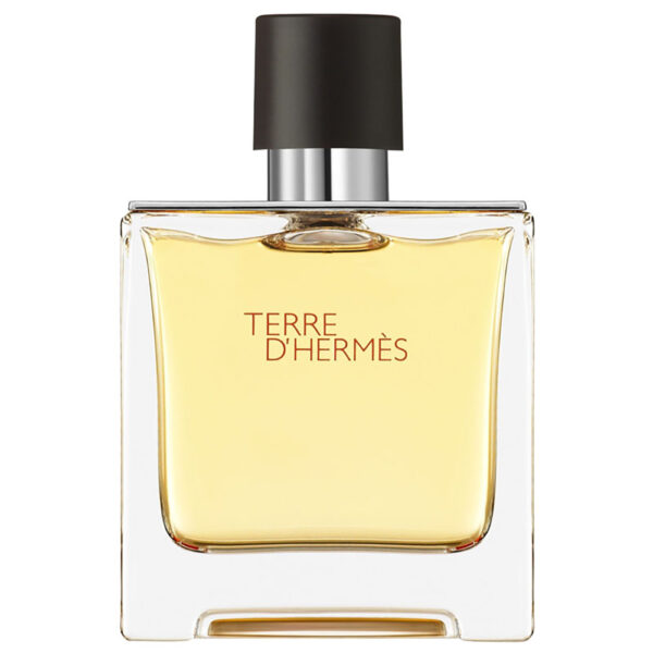 Hermès Terre d'Hermes Parfum - Mundo dos Decants