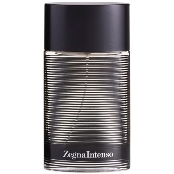 Zegna Intenso オードトワレ　100ml Ermenegildo Zegna Intenso Eau de Toilette - Mundo dos Decants