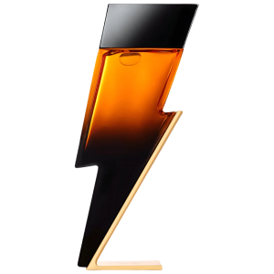 Bad Boy Elixir Carolina Herrera Eau de Parfum Masculino